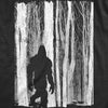  Bigfoot In The Forest Womens T Shirt 
