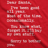  Dear Santa Ill Buy My Own Stuff Womens T Shirt 