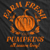  Farm Fresh Pumpkins Womens T Shirt 