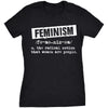  Feminist Definition Womens T Shirt 