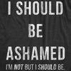  I Should Be Ashamed Womens T Shirt 