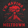  Im Having A Meltdown Womens T Shirt 