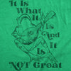  It Is What It Is And It Is Not Great Womens T Shirt 