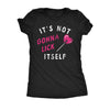  Its Not Gonna Lick Itself Womens T Shirt 