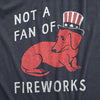  Not A Fan Of Fireworks Womens T Shirt 