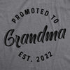  Promoted To Grandma 20xx Womens T Shirt 