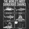  The Worlds Most Dangerous Sharks Womens T Shirt 