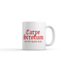 Carpe Scrotum: Seize Life's Opportunities Mug